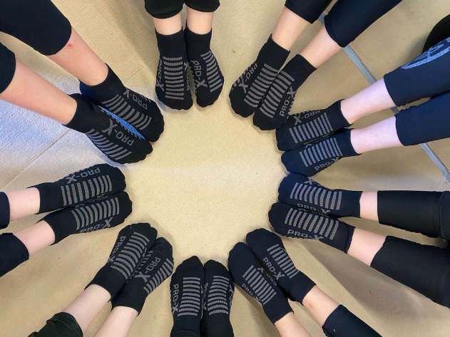 Team Tapiola, Pro-X sukat